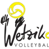 Club Logo VBC Wetzikon H1