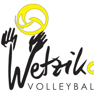 Club Logo VBC Wetzikon DU20