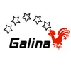 Club Logo VBC Galina
